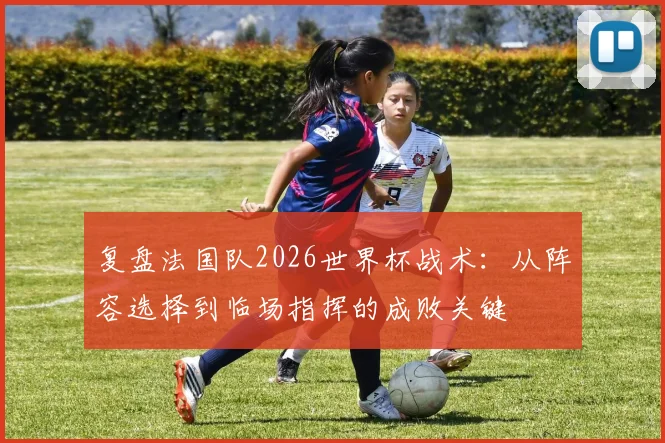 复盘法国队2026世界杯战术:从阵容选择到临场指挥的成败关键