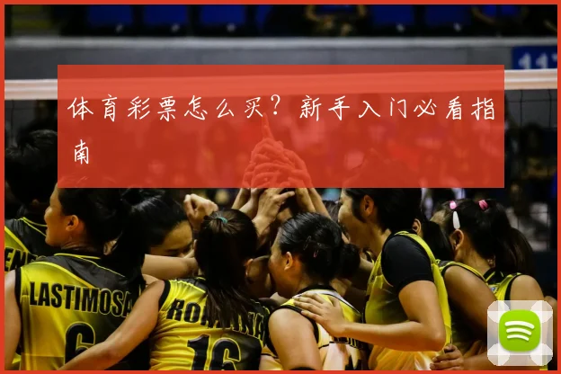 体育彩票怎么买？新手入门必看指南